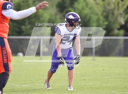 Thumbnail 1 in Walhalla vs Carolina Academy (2017 Patriot Jamboree) photogallery.