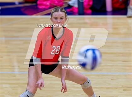 Thumbnail 3 in Lee County @ Pope (GHSA AAAAA State Volleyball Tournament - 1st Round) photogallery.