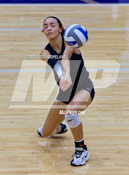 Thumbnail 3 in Lee County @ Pope (GHSA AAAAA State Volleyball Tournament - 1st Round) photogallery.