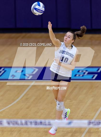 Thumbnail 3 in Lee County @ Pope (GHSA AAAAA State Volleyball Tournament - 1st Round) photogallery.