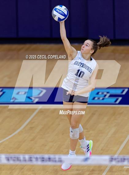 Thumbnail 2 in Lee County @ Pope (GHSA AAAAA State Volleyball Tournament - 1st Round) photogallery.