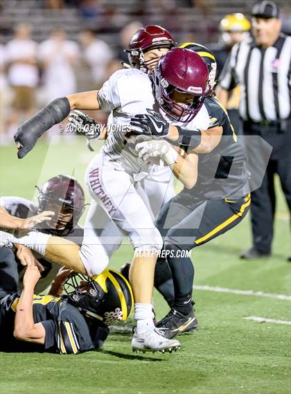 Thumbnail 1 in Whitney @ Del Oro photogallery.