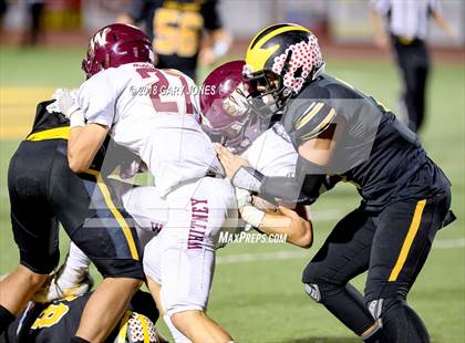 Thumbnail 3 in Whitney @ Del Oro photogallery.