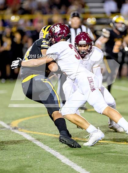Thumbnail 3 in Whitney @ Del Oro photogallery.
