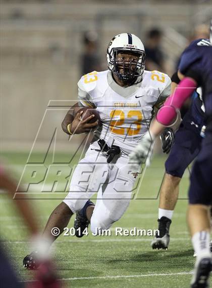 Thumbnail 1 in Stony Point @ McNeil photogallery.