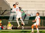 Photo from the gallery "Milton @ Collins Hill"