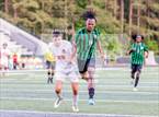 Photo from the gallery "Milton @ Collins Hill"