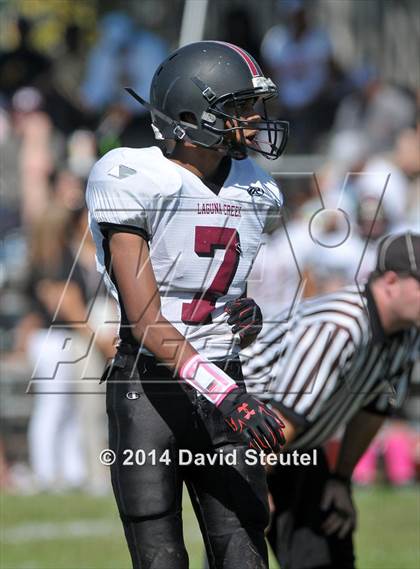 Thumbnail 3 in JV: Laguna Creek @ Sacramento photogallery.