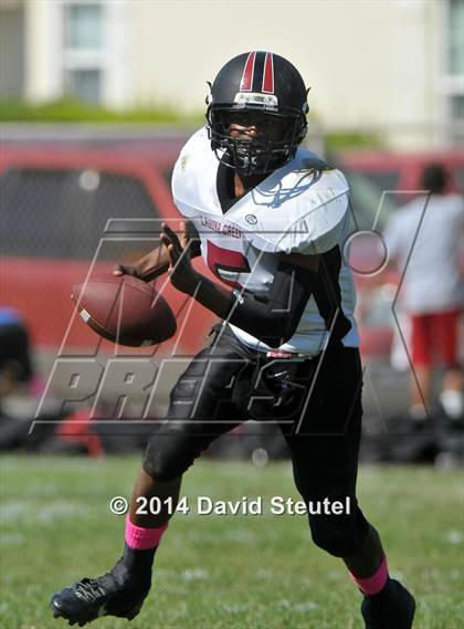 Thumbnail 1 in JV: Laguna Creek @ Sacramento photogallery.