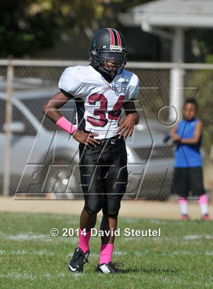 Thumbnail 3 in JV: Laguna Creek @ Sacramento photogallery.