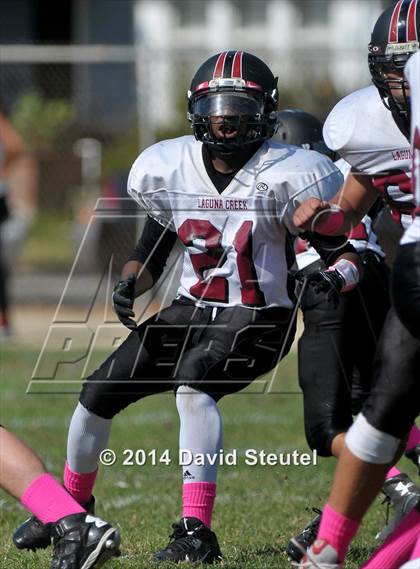 Thumbnail 2 in JV: Laguna Creek @ Sacramento photogallery.