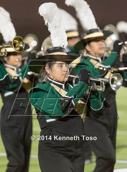 Thumbnail 2 in McCollum @ Brackenridge photogallery.