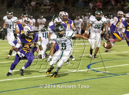 Thumbnail 1 in McCollum @ Brackenridge photogallery.