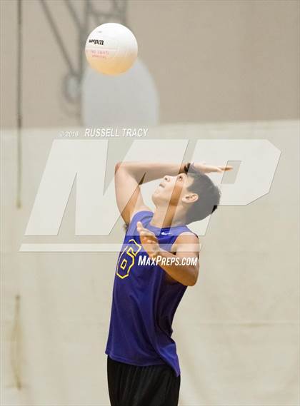 Thumbnail 1 in Landstown @ Tallwood  photogallery.