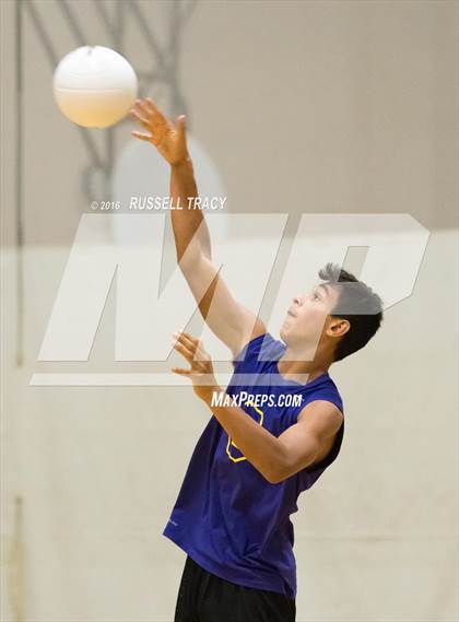 Thumbnail 3 in Landstown @ Tallwood  photogallery.