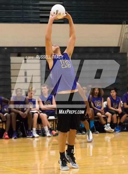 Thumbnail 1 in Landstown @ Tallwood  photogallery.