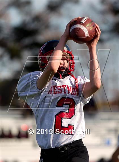 Thumbnail 2 in Westmont @ Hillsdale photogallery.