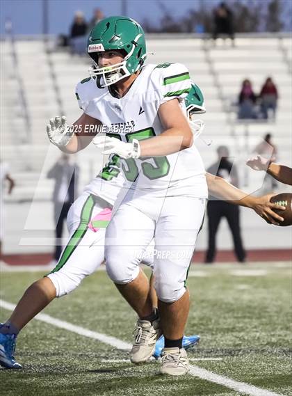 Thumbnail 3 in JV: Emerald @ Freedom photogallery.