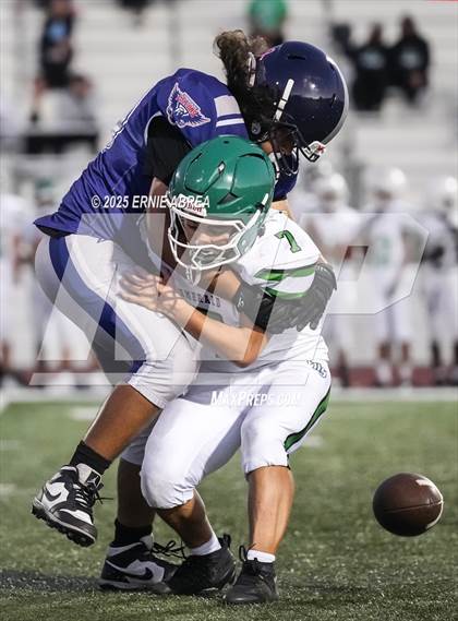 Thumbnail 1 in JV: Emerald @ Freedom photogallery.