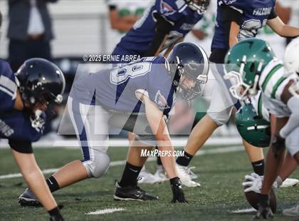 Thumbnail 2 in JV: Emerald @ Freedom photogallery.