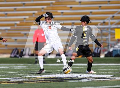 Thumbnail 3 in Texas @ Denison photogallery.