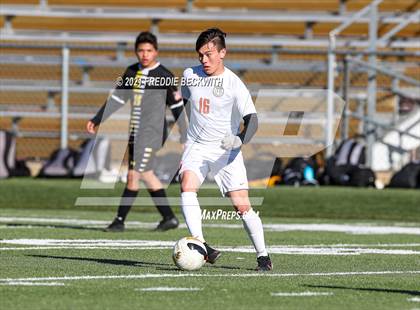 Thumbnail 2 in Texas @ Denison photogallery.