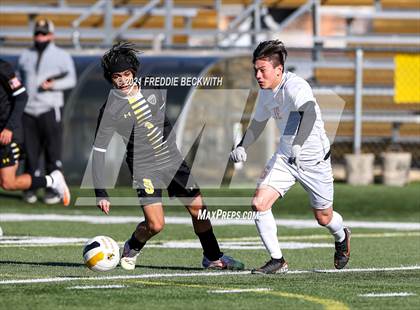 Thumbnail 1 in Texas @ Denison photogallery.