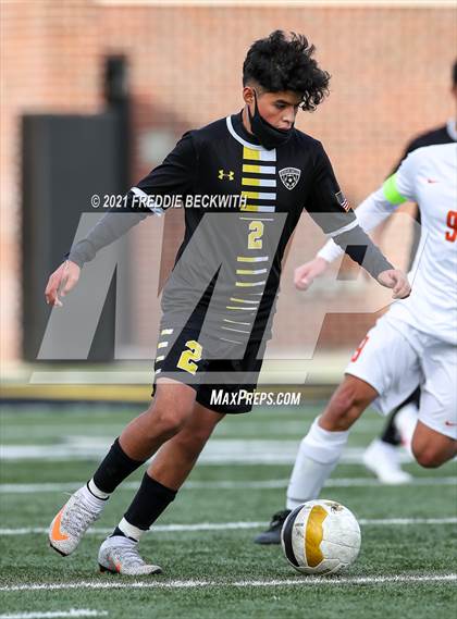 Thumbnail 3 in Texas @ Denison photogallery.