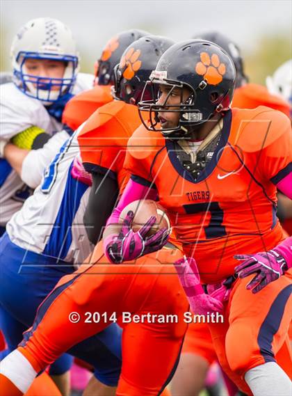 Thumbnail 3 in Newfane @ Bennett/Olmsted photogallery.