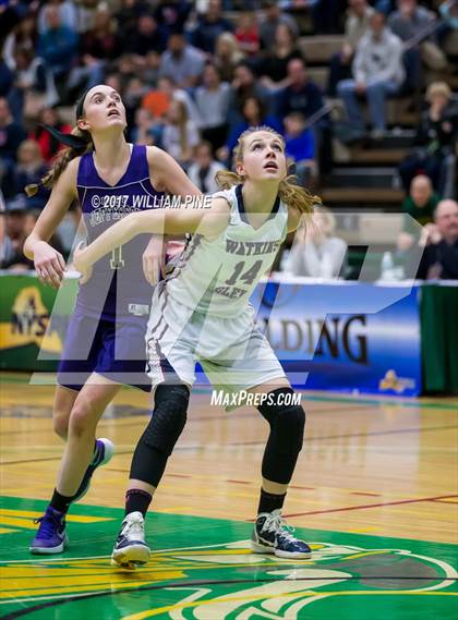 Thumbnail 1 in Watkins Glen vs. Port Jefferson (NYSPHSAA Class C Final) photogallery.
