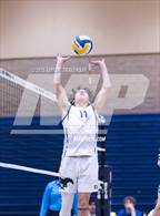 Photo from the gallery "St. Francis @ San Juan Hills"