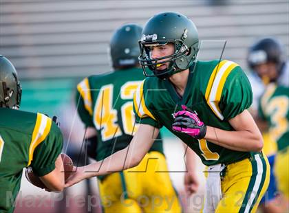 Thumbnail 1 in Lincoln @ Placer photogallery.