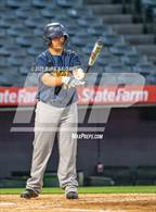 Photo from the gallery "Segerstrom vs. California"