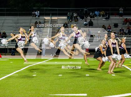 Thumbnail 2 in Edison @ Oakton photogallery.