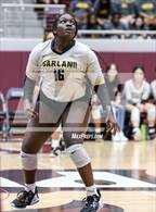 Photo from the gallery "Garland @ Wylie"