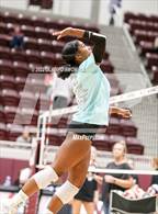 Photo from the gallery "Garland @ Wylie"