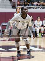 Photo from the gallery "Garland @ Wylie"