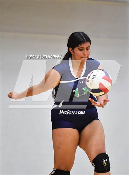 Thumbnail 3 in Kennedy vs Littleton (Freshman) photogallery.