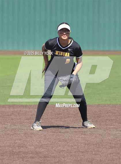 Thumbnail 3 in Winona vs Malakoff photogallery.