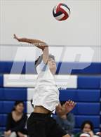 Photo from the gallery "Mills @ Hillsdale"