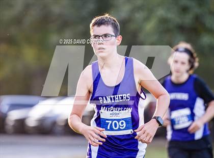 Thumbnail 3 in Potomac Falls @ Dominion photogallery.