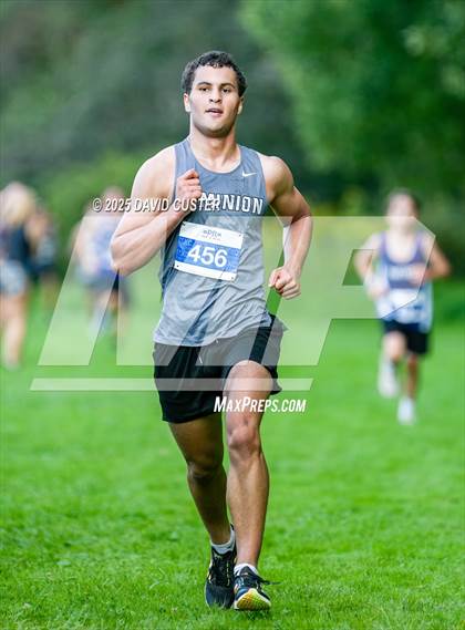 Thumbnail 1 in Potomac Falls @ Dominion photogallery.