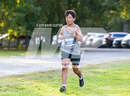 Thumbnail 3 in Potomac Falls @ Dominion photogallery.