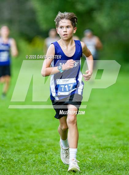 Thumbnail 2 in Potomac Falls @ Dominion photogallery.