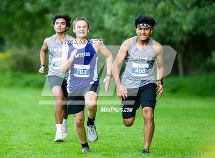 Thumbnail 3 in Potomac Falls @ Dominion photogallery.