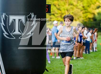 Thumbnail 3 in Potomac Falls @ Dominion photogallery.