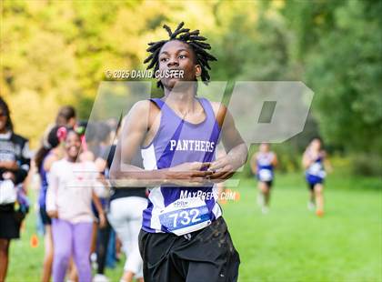 Thumbnail 2 in Potomac Falls @ Dominion photogallery.