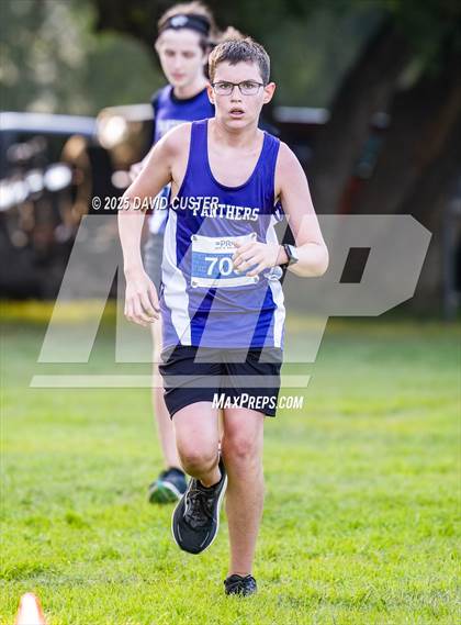 Thumbnail 2 in Potomac Falls @ Dominion photogallery.