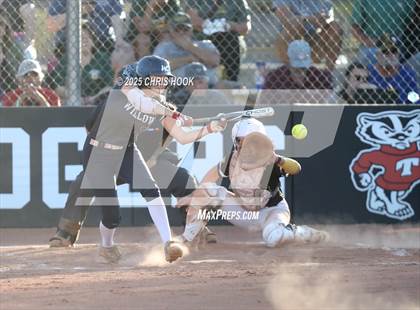 Thumbnail 1 in Canyon del Oro vs Willow Canyon (AIA Softball 4A Semifinal) photogallery.