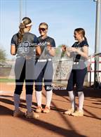 Photo from the gallery "Canyon del Oro vs Willow Canyon (AIA Softball 4A Semifinal)"